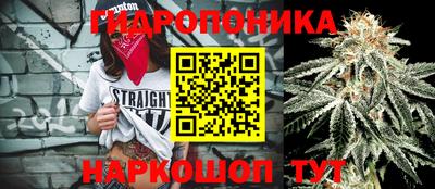 каннабис Обь